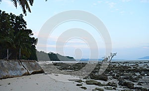 Palm Trees, Rocks, and Sky - Dawn at Vijaynagar Beach, Havelock Island, Andaman & Nicobar Islands, India