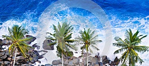 Palm trees and a rocky shore. Sea waves are breaking on the rocks on the beach. Sri Lanka. Wide photo