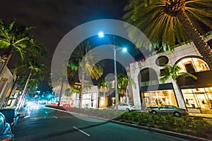 Palm trees in Rodeo Drive