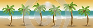 Palm trees in a row on beach in sunset, vector illustration