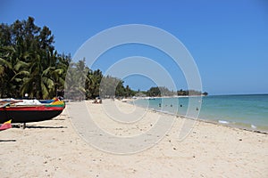 Palm trees and sand on the beach of Ifaty, Madagascar