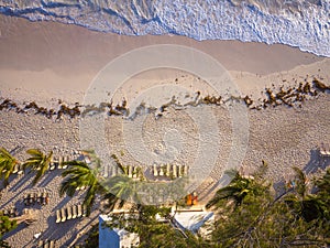 Palm trees on the sandy shore of the ocean. small houses can be seen among the palm trees. Wooden deck chairs on the beach.