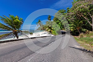 Palm trees in scenic beach road