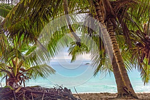 Palm trees by the sea in Anse Lazio beach