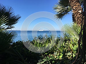 Palm trees on seacoast