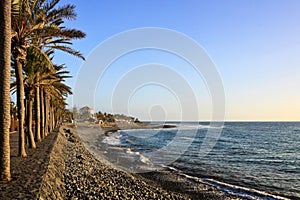 Palm trees on seafront, Las Americas, Tenerife photo