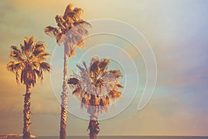 Palm Trees at Seashore Dramatic Beautiful Blue Pink Peachy Sky at Sunset. Pastel Colors Flare 60s Vintage Toning.Calm Sea Horizon