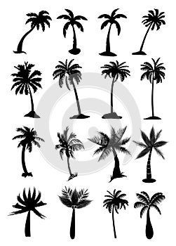 Palm trees set