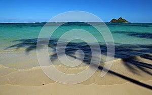 Palm trees shadow on Lanikai Beach