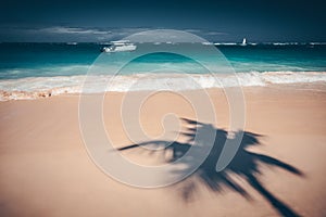 Palm trees shadow on the tropical beach Punta Cana, Dominican Re