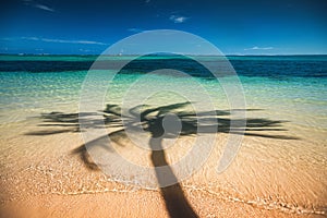 Palm trees shadow on the tropical beach Punta Cana, Dominican Re