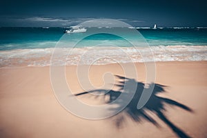 Palm trees shadow on the tropical beach Punta Cana, Dominican Re