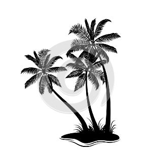 Palm trees silhouette