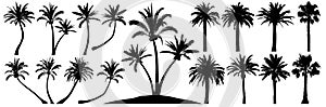 Palm trees silhouette. Coconut tree date palm. Vector set tropical trees photo