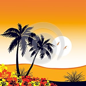 Palm trees silhouette flowers sand sunset