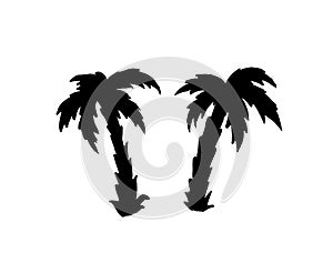 Palm trees silhouette isolated vector sketch