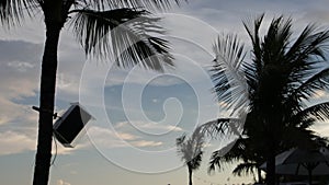 Palm Trees Silhouette At Sunset. Dark scene. Night on magic tropical Bali island, Indonesia. Unedited footage.