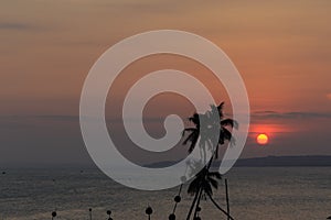 Palm trees silhouette on sunset photo