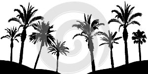 Palm trees silhouette, vector illustration