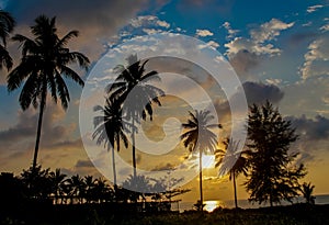 Palm trees silhouettes on the beach at sunset and sunrise