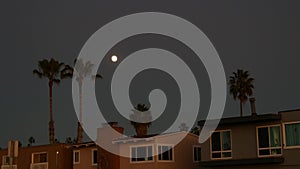 Palm trees silhouettes and full moon in twilight sky, California beach houses.