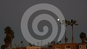 Palm trees silhouettes and full moon in twilight sky, California beach houses.