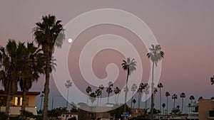 Palm trees silhouettes and full moon in twilight sky, California beach houses.