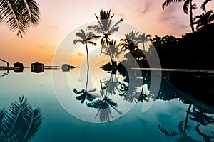 Palm Trees Silhouettes over blue infinity pool at sunset in Hawaii