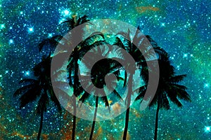 Palm trees silhouettes, starry night