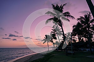 Palm trees silhouettes on tropical beach during colorful sunset.