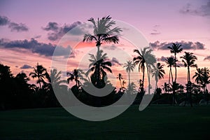 Palm trees silhouettes on tropical beach during colorful sunset.