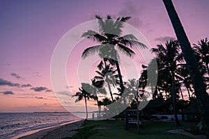 Palm trees silhouettes on tropical beach during colorful sunset.