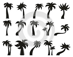 Palm trees silhouettes. Tropical botany palm tree, hawaiian coconut palm vintage silhouettes. Exotic green palm trees