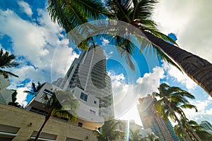 Palm trees and skyscrapers in Miami Beach at sunset