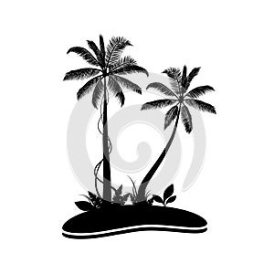 Palm trees stock