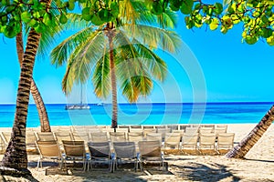 Palm trees with sun loungers on the caribbean tropical beach. Saona Island, Dominican Republic. Vacation travel background