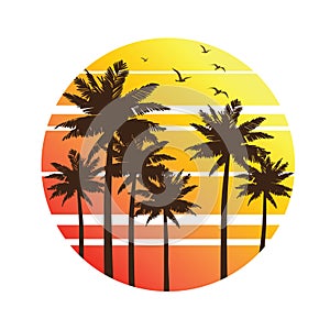 Palm trees sunset