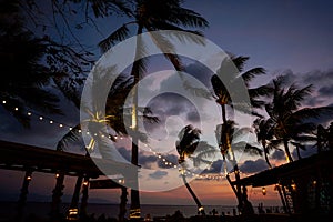 Palm trees at sunset on the background of the sea and lights