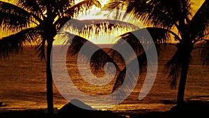 Palm Trees and Sunset Hawaii