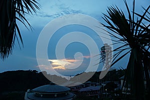 Palm trees, sunset. Lighthouse in the background. Evening on Enoshima Island, Japan