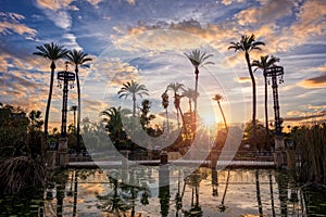 Palm trees in the sunset in Maria Luisa park in Seville, Spain