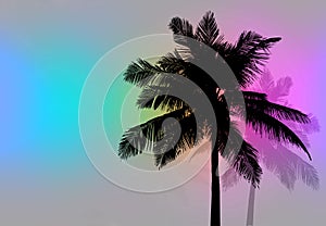 Palm Trees Sunset Retro