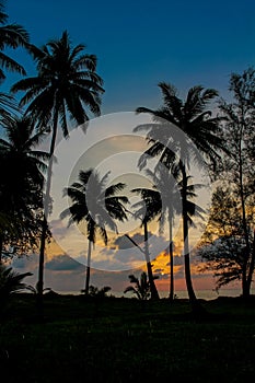 Palm trees sunset silhouette at tropical beach resort