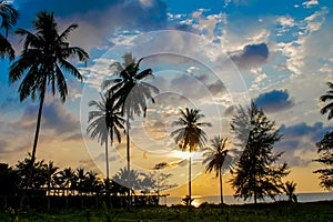 Palm trees sunset silhouette at tropical resort