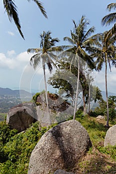 Palm trees sway surrounded by large boulders in a tranquil tropical locale under a blue sky