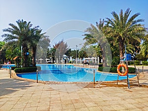 Palm trees, swimming pool and swimming ring