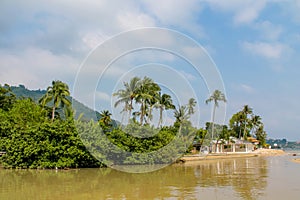 Palm trees at Thailand beach resort