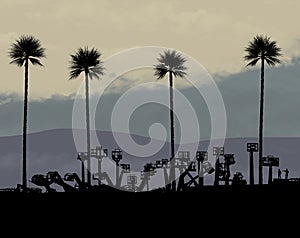 Palm trees tower over a business that sells bucket lifts and scissor lifts in this illustration