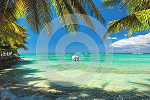 Palm trees on tropical beach and boat in caribbean sea, La Romana, Punta Cana, Saona island, Bayahibe, Dominican Republic