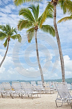 Palm Trees on Tropical Beach of Cayo Levantado in Dominican Republic with Deck Chairs